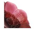 Anemone sculpture in red crystal, small size red - Lalique